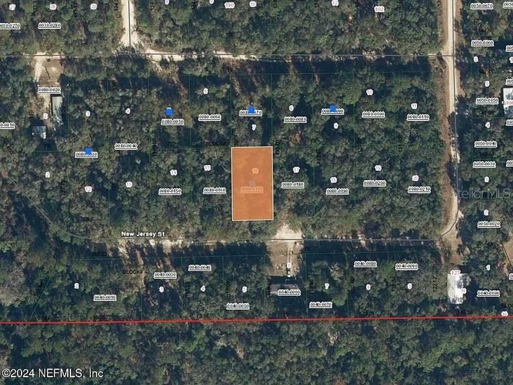 Photo of 118 New Jersey Street, Satsuma, FL 32189 (MLS # FC313801)