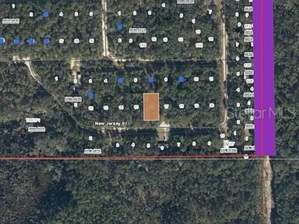 Photo of 118 New Jersey Street, Satsuma, FL 32189 (MLS # FC313801)