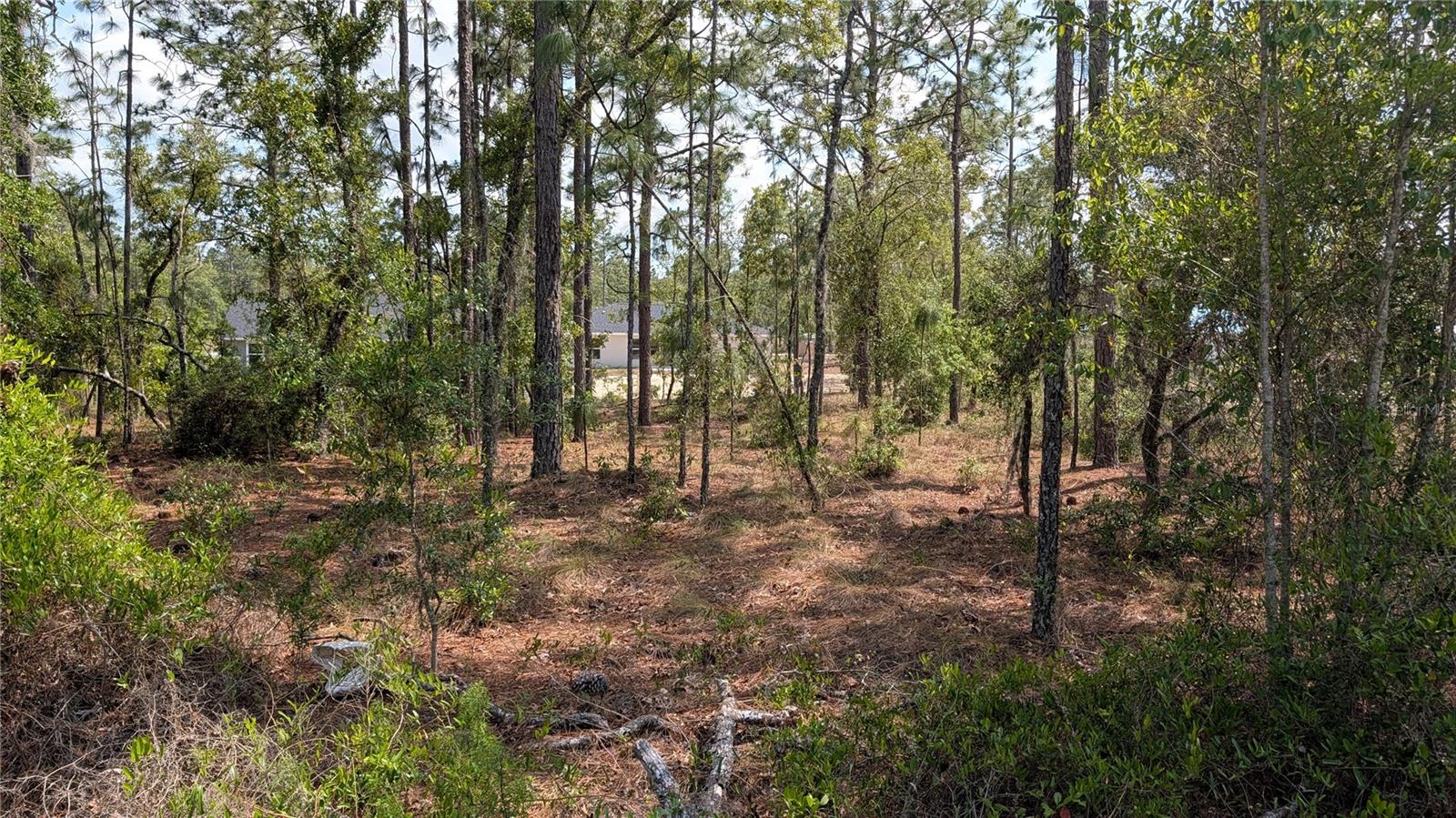 RAINBOW LAKES ESTATE - Land
