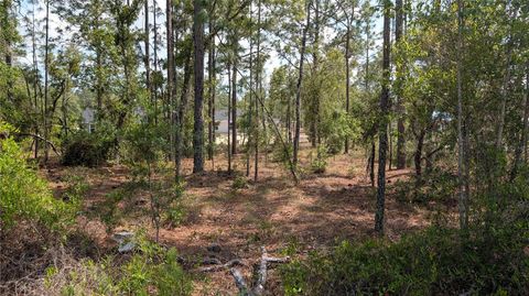 Tiny photo for 32 NW Hemlock Avenue, Dunnellon, FL 34431 (MLS # OM724391)