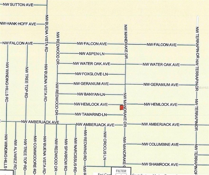 LOT 32 IS 70X150 FT LISTED FOR $ 17,500.  LOT 33 IS 70X150 FT LISTED FOR $ 17,500 and it is the corner lot on MANDRAKE DR.   BOTH ARE LISTED FOR $ 35,000. TOGETHER.   In fast growing Rainbow Lakes, houses only zoned R-1, no HOA.  Paved Roads, access to club house , lakes and ball field.  New houses being built all around, power is in front of the lots.  One parcel ID with two lots, sold together for $ 35,000 or either Lot sold by itself for $ 17,500.