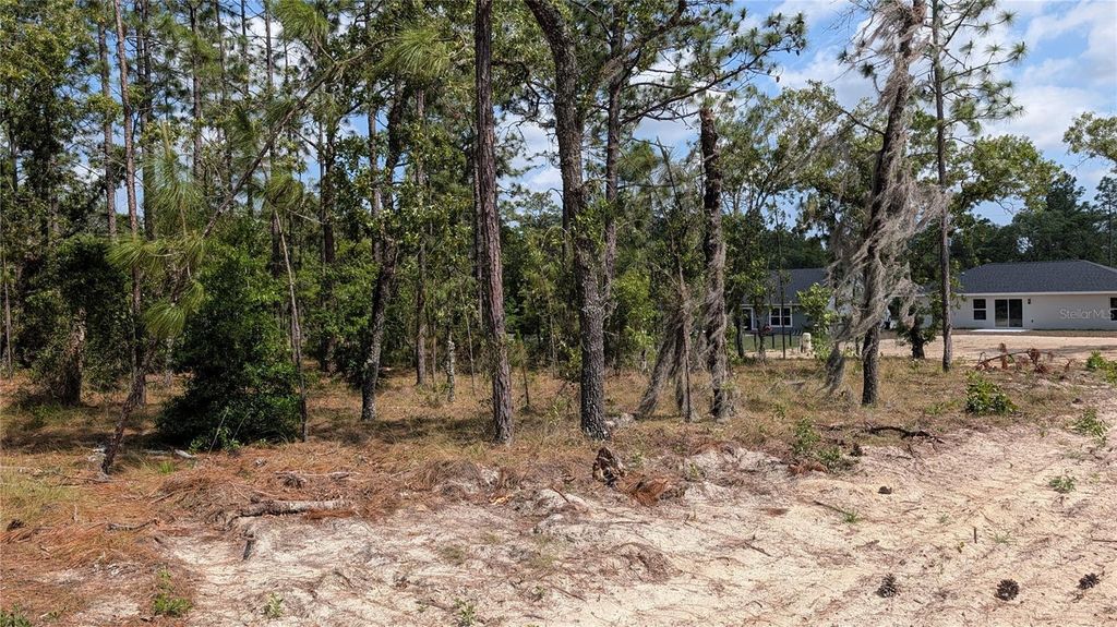 Photo of 32 NW Hemlock Avenue, Dunnellon, FL 34431 (MLS # OM724391)