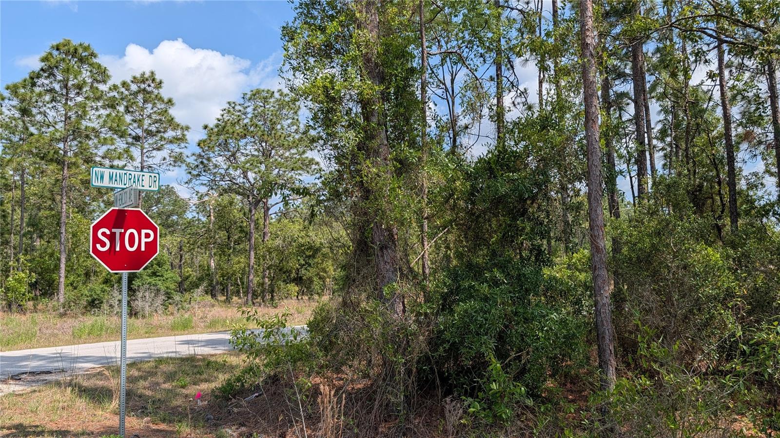 RAINBOW LAKES ESTATE - Land