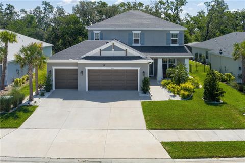 Photo of 6017 Maidenstone Way, Palmetto, FL 34221 (MLS # A4651447) Photo of 6017 Maidenstone Way, Palmetto, FL 34221 (MLS # A4651447)