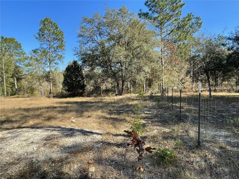 Tiny photo for 4299 SW 190th Court, Dunnellon, FL 34432 (MLS # OM715806)