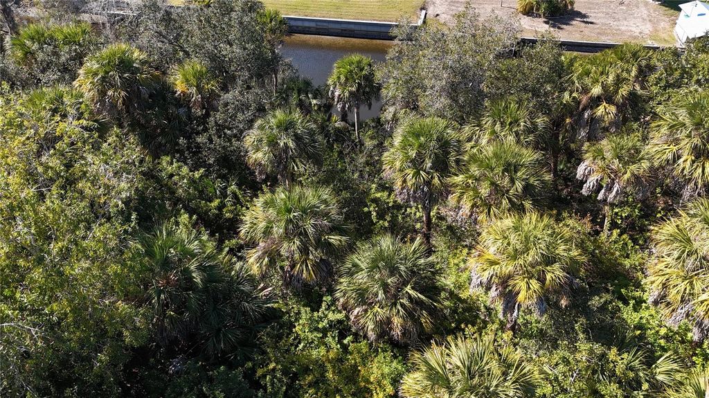 Photo of 173 Hoffer Street, Port Charlotte, FL 33953 (MLS # A4680303)