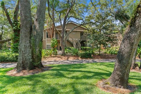 A home in TAMPA