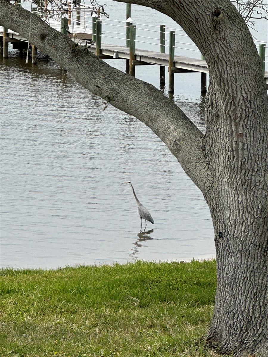 RIVERSIDE PARK - Residential