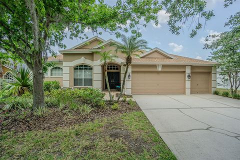 5317 PAGNOTTA PLACE LUTZ FL 33558