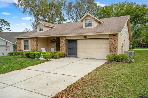 A home in SPRING HILL