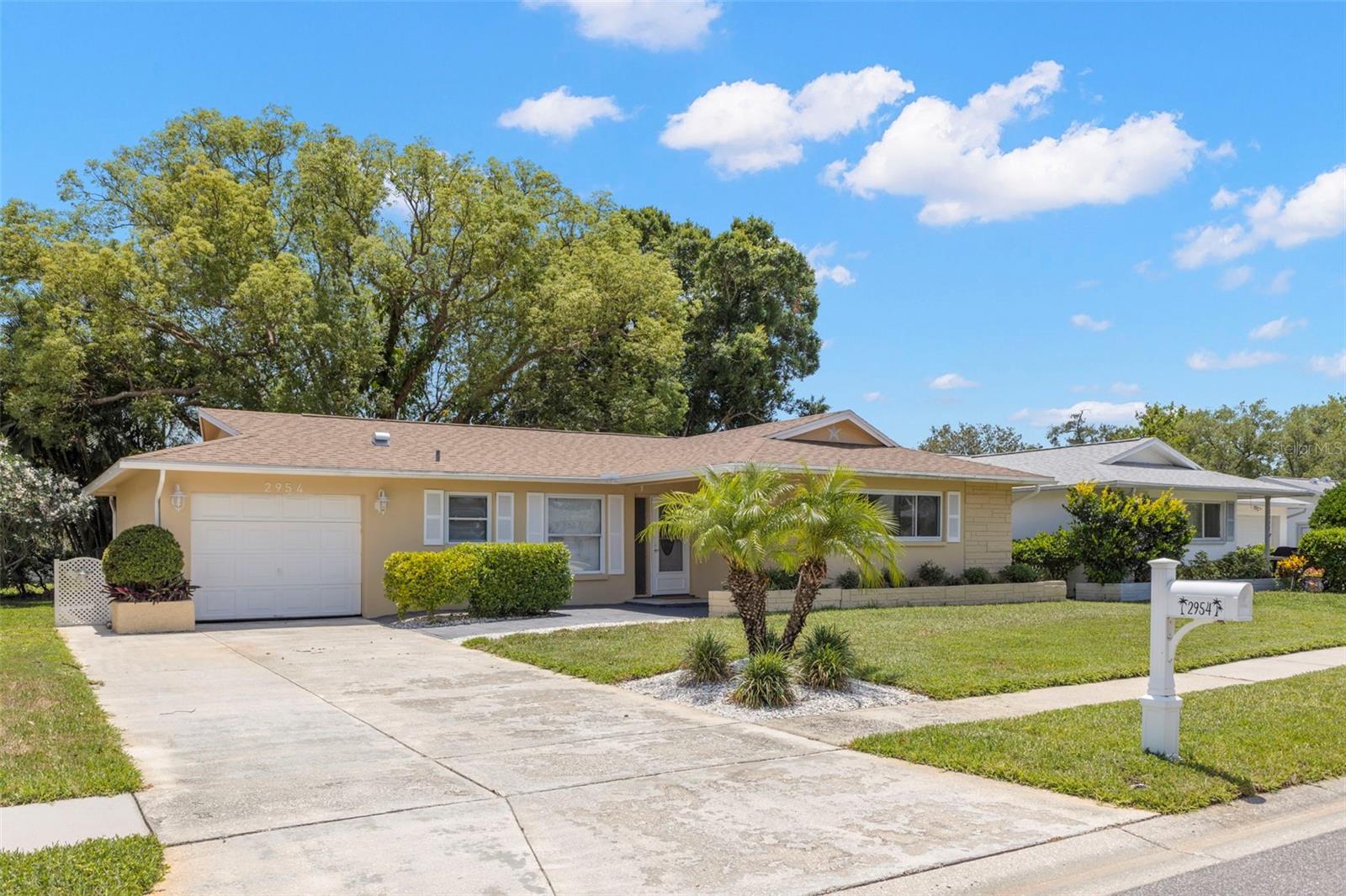 2954 CURLING COURT