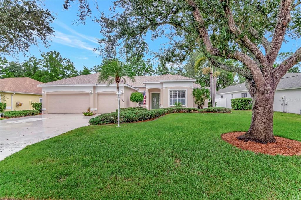 Photo of 11209 Pine Lilly Place, Lakewood Ranch, FL 34202 (MLS # TB8422658)