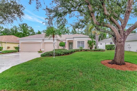 Photo of 11209 Pine Lilly Place, Lakewood Ranch, FL 34202 (MLS # TB8422658)