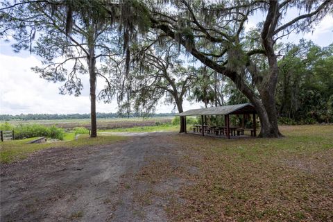 Tiny photo for 4950 SW 80th Street, Chiefland, FL 32626 (MLS # GC540229)