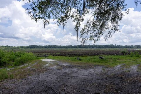 Tiny photo for 4950 SW 80th Street, Chiefland, FL 32626 (MLS # GC540229)