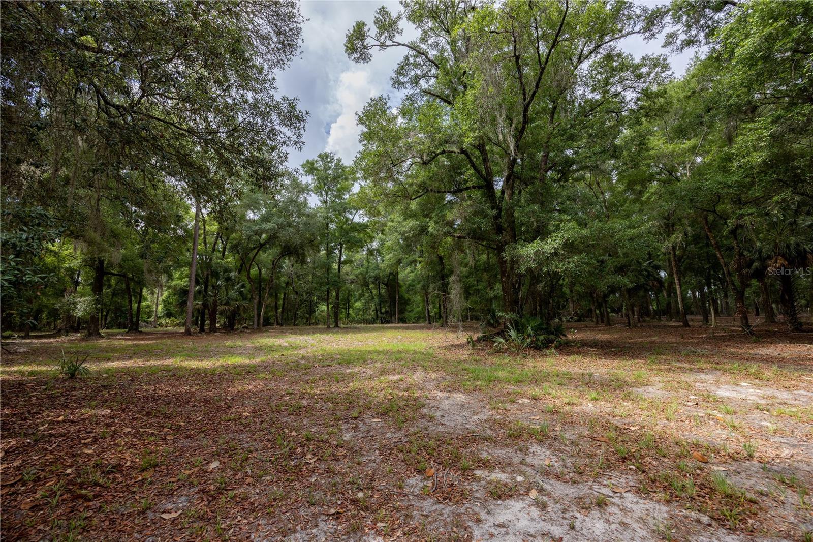 SPANISH TRACE - Residential