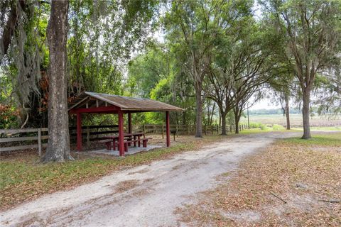 Tiny photo for 4950 SW 80th Street, Chiefland, FL 32626 (MLS # GC540229)