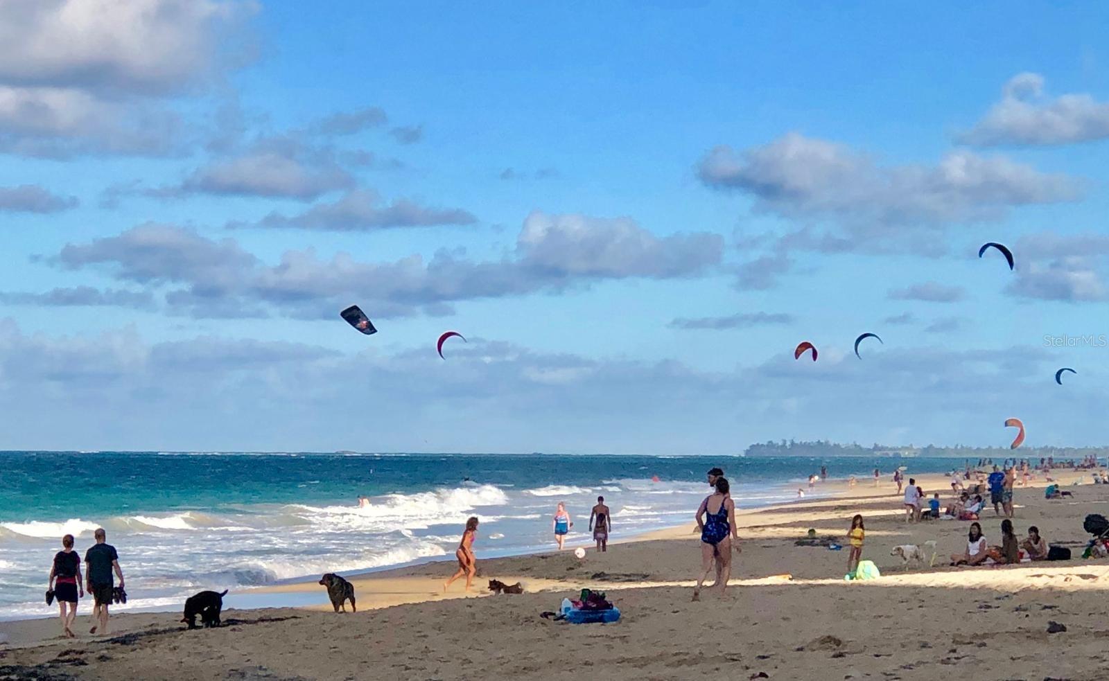 KINGS COURT 76 CONDOMINIUM - Residential Lease