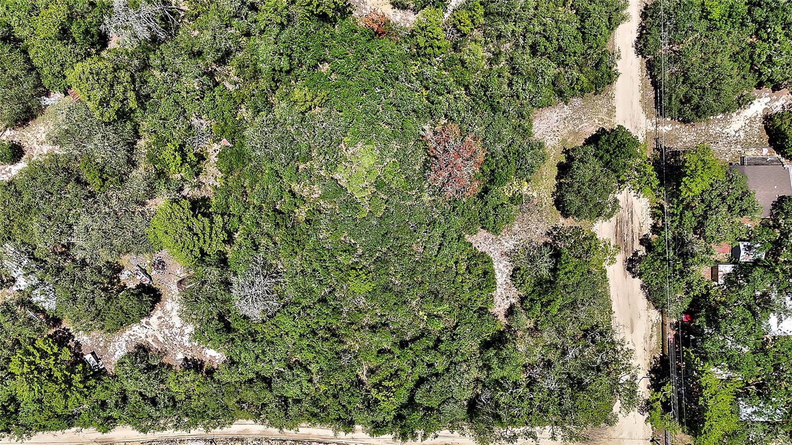 FOREST LAKES PARK SUB - Land