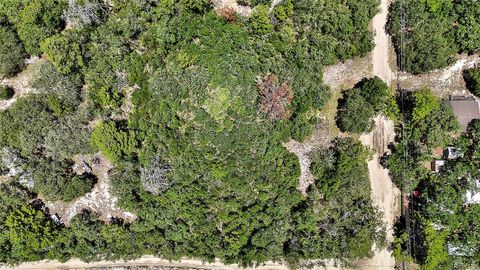 Tiny photo for 0 SE 197th Avenue, Ocklawaha, FL 32179 (MLS # TB8494790)