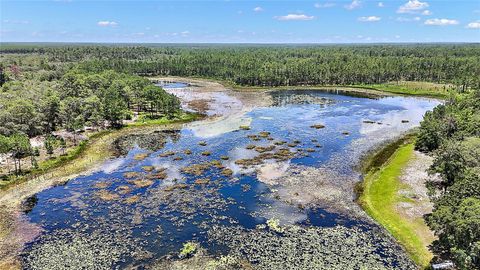 Tiny photo for 0 SE 197th Avenue, Ocklawaha, FL 32179 (MLS # TB8494790)