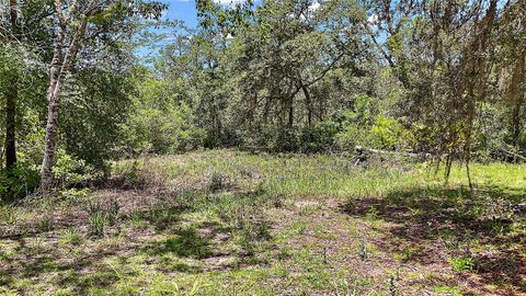 Tiny photo for 0 SE 197th Avenue, Ocklawaha, FL 32179 (MLS # TB8494790)