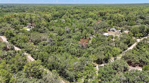Tiny photo for 0 SE 197th Avenue, Ocklawaha, FL 32179 (MLS # TB8494790)