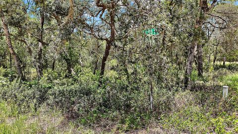 Tiny photo for 0 SE 197th Avenue, Ocklawaha, FL 32179 (MLS # TB8494790)