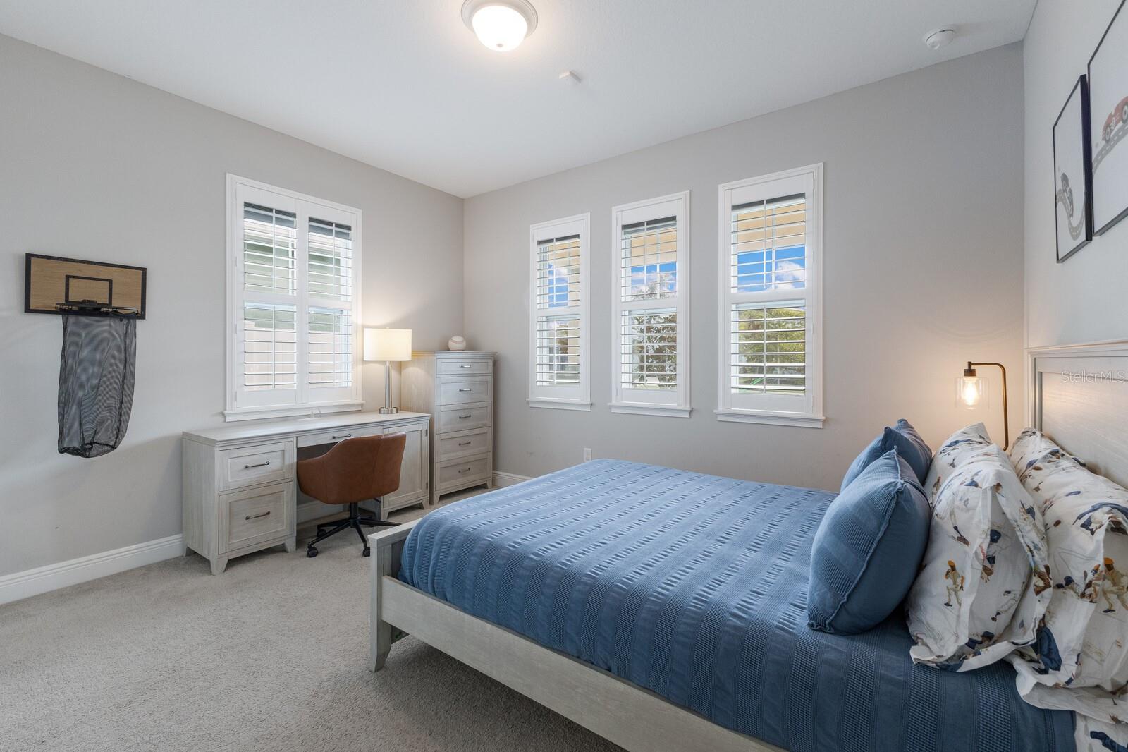 PALMER PARK - Residential