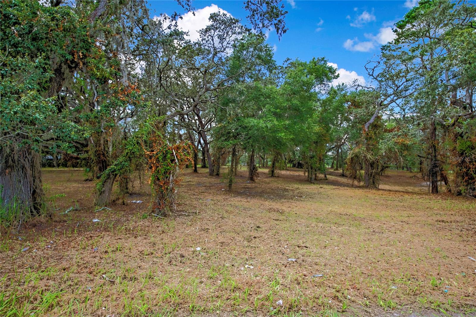 You do not want to miss out on this Agriculturally Zoned 2 Acre Lot in Hudson! This parcel of land is High & Dry and just waiting for you to
build the home of your dreams! The location is fantastic, whether you are looking to travel North to the Spring Hill/Brooksville area or South to Tampa/Clearwater/St. Pete., you can't go wrong! Get your offer submitted TODAY before it's gone!
This parcel has 2 addresses (15727 and 15761 Hays Road).