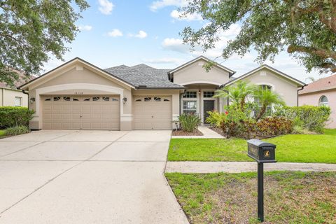 16104 BRIDGEDALE DRIVE LITHIA FL 33547
