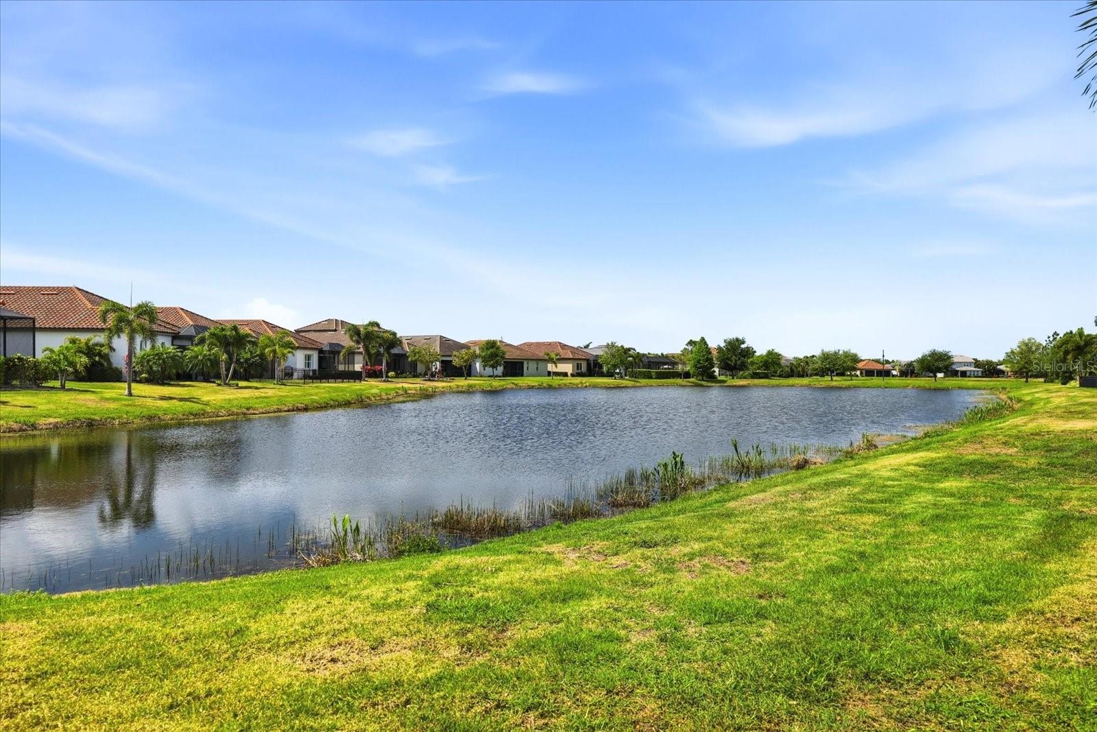 ARBOR GRANDE - Residential