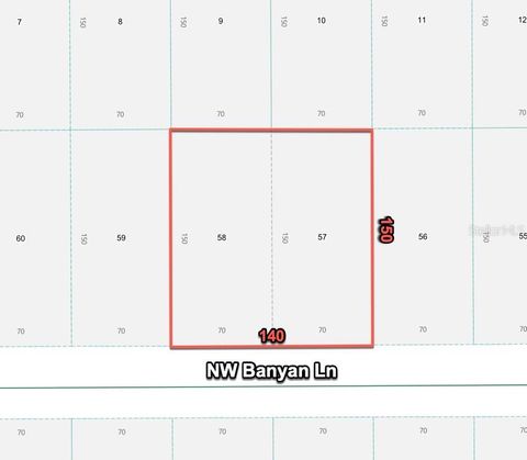 Tiny photo for 24309 NW Banyan Lane, Dunnellon, FL 34431 (MLS # O6381809)