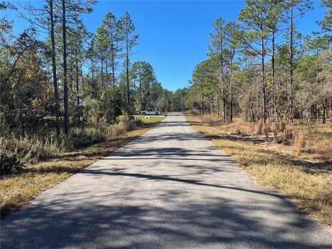 Tiny photo for 24309 NW Banyan Lane, Dunnellon, FL 34431 (MLS # O6381809)