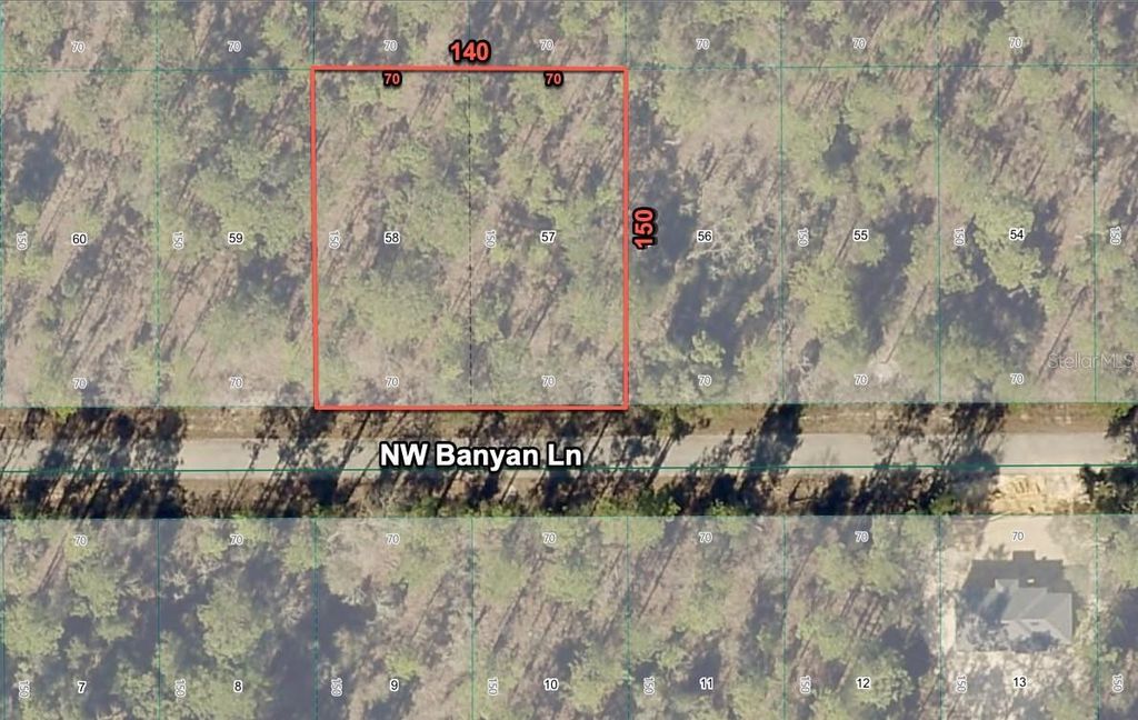 Photo of 24309 NW Banyan Lane, Dunnellon, FL 34431 (MLS # O6381809)