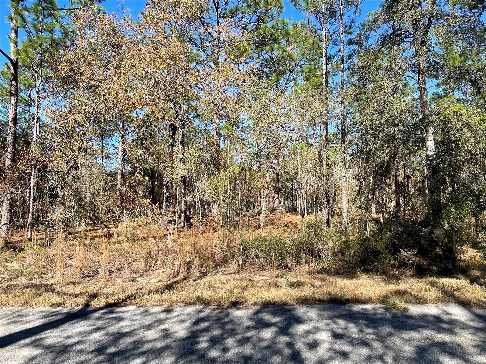 RAINBOW LAKES ESTATE - Land