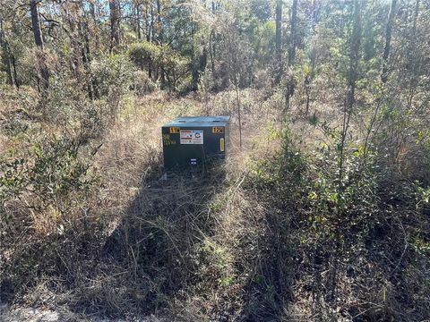 Tiny photo for 24309 NW Banyan Lane, Dunnellon, FL 34431 (MLS # O6381809)