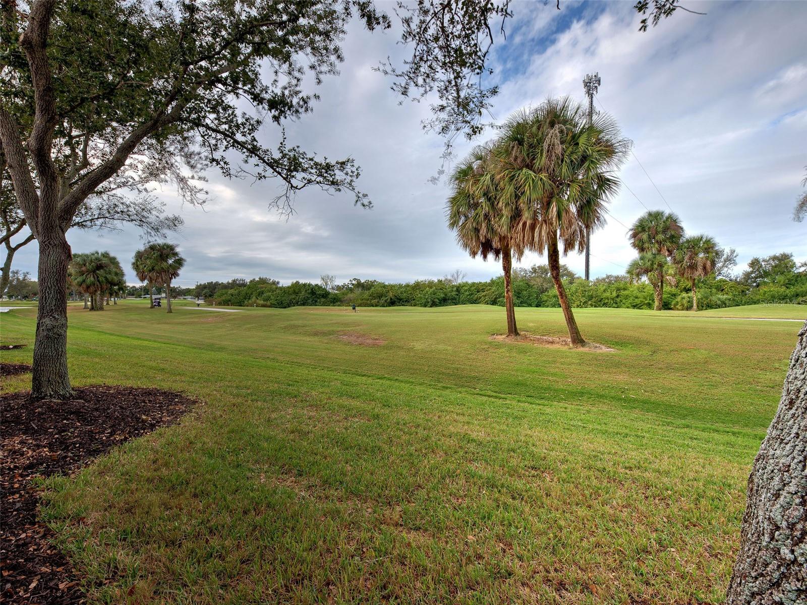 PELICAN POINTE GOLF & COUNTRY CLUB - Residential