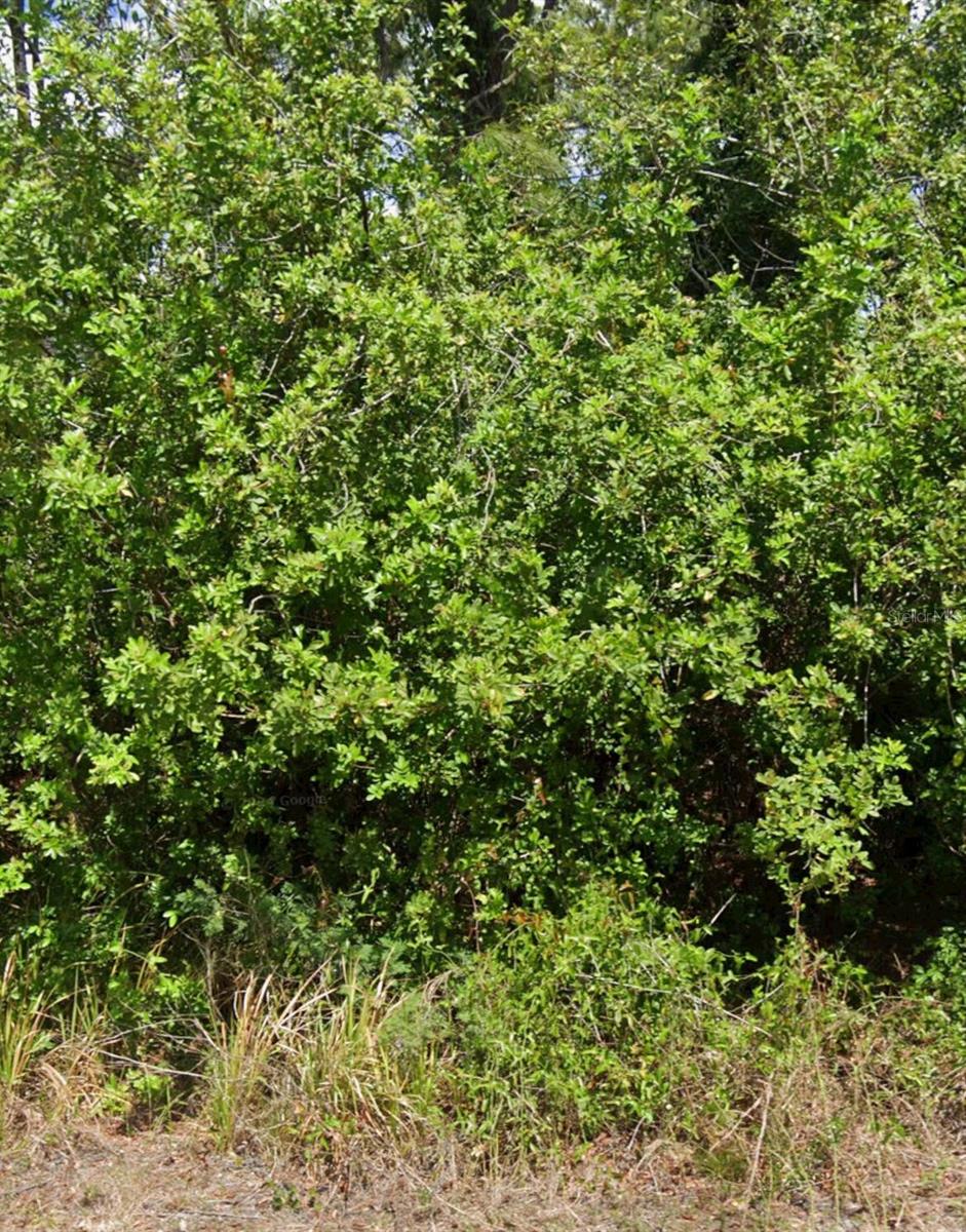 PLACID LAKES SEC 19 - Land