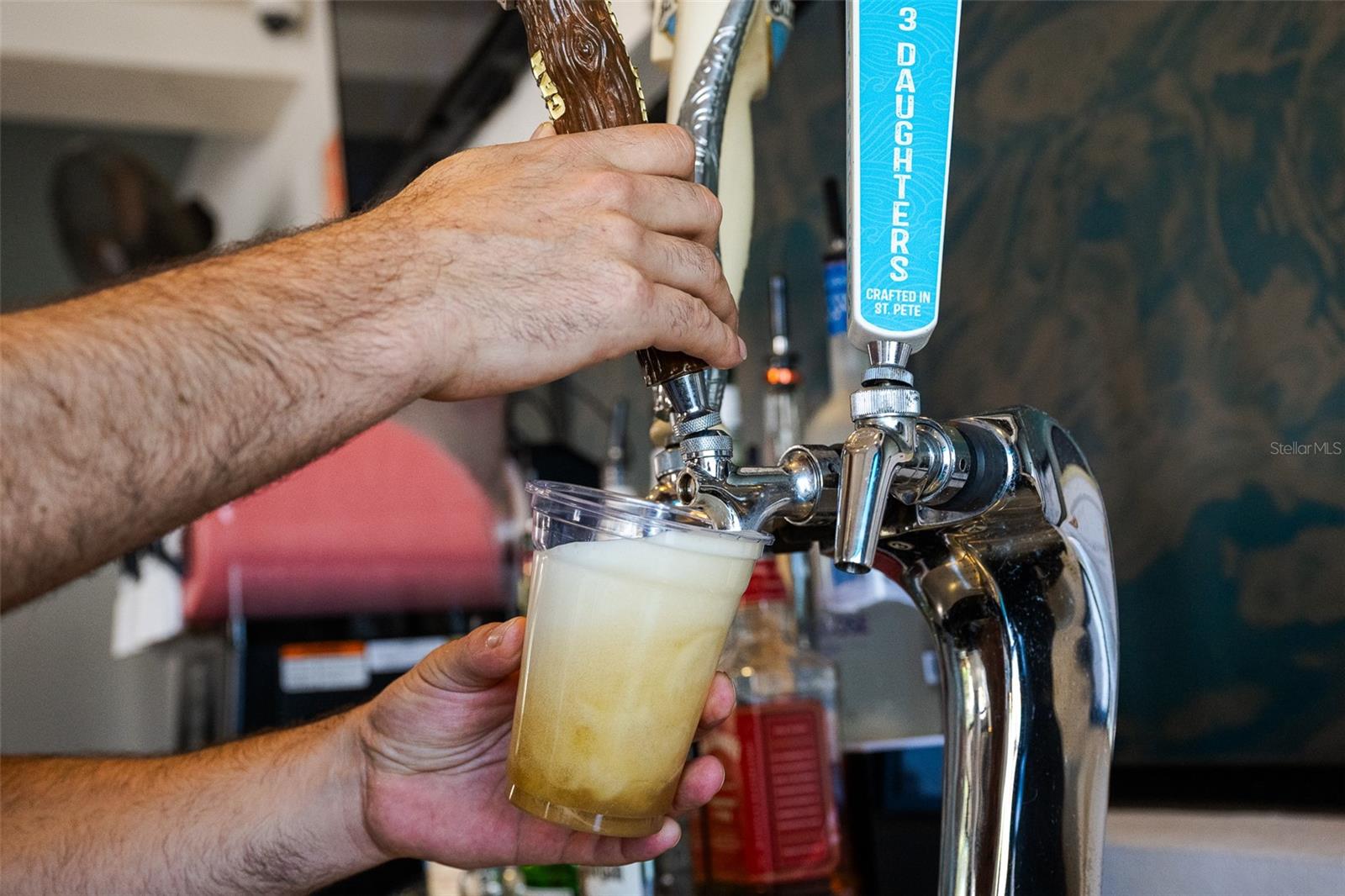 WINDSOR AT WESTSIDE PH 2A - Residential