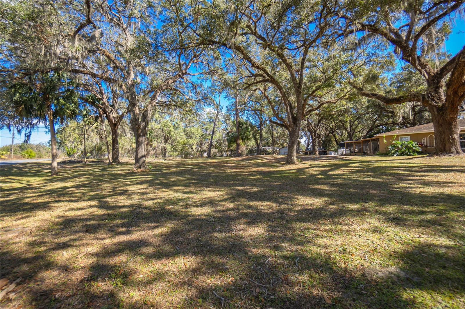 3299 COUNTY ROAD 521