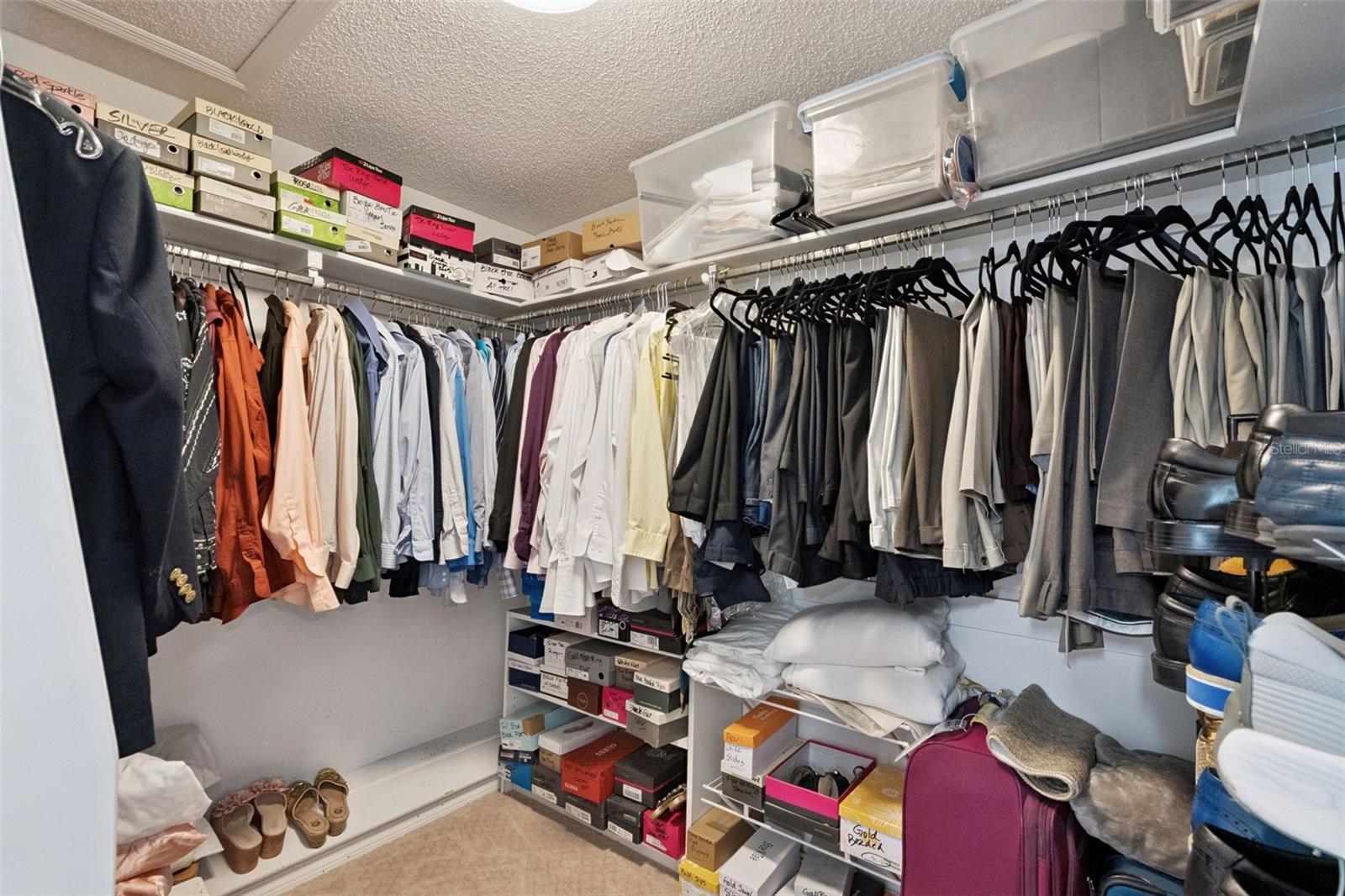 CORTLAND PARK - Residential