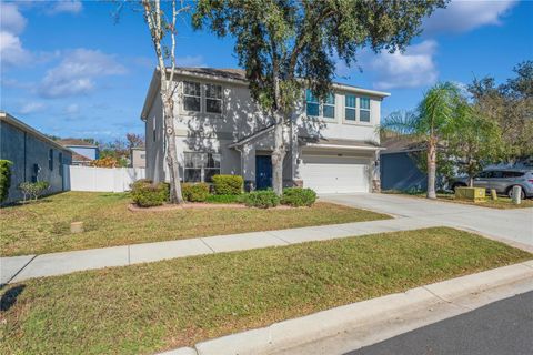 18345 FISH LOOP LAND O LAKES FL 34638