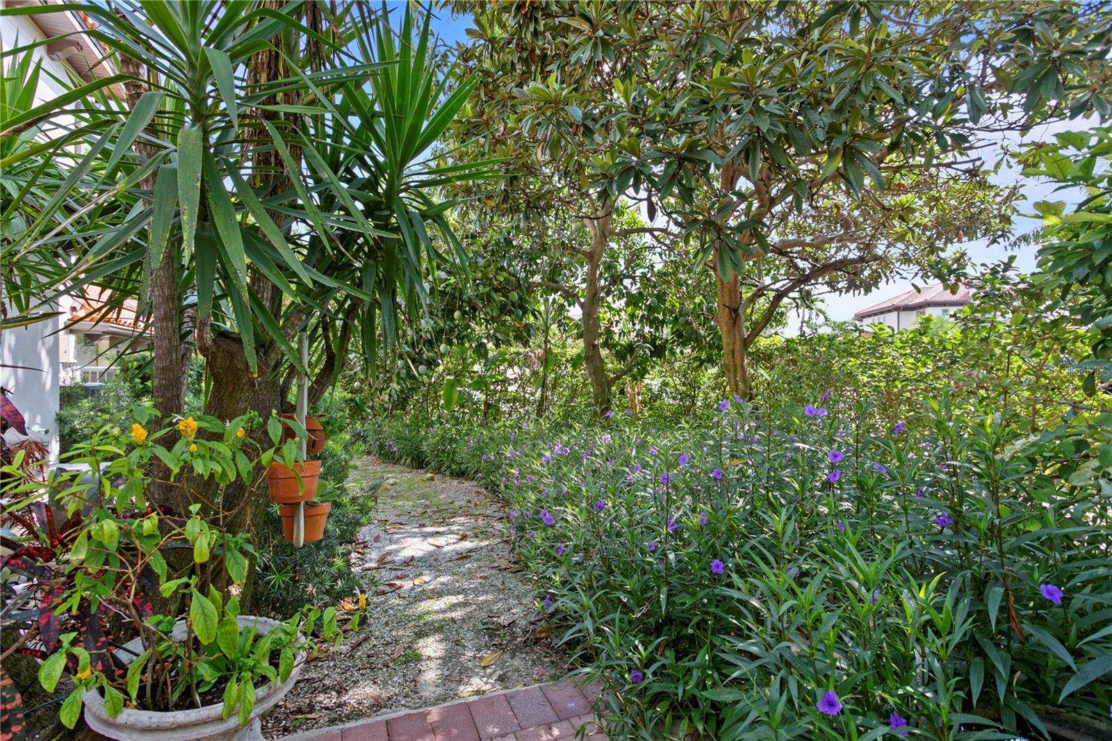 TORTUGA CIRCLE REP - Residential