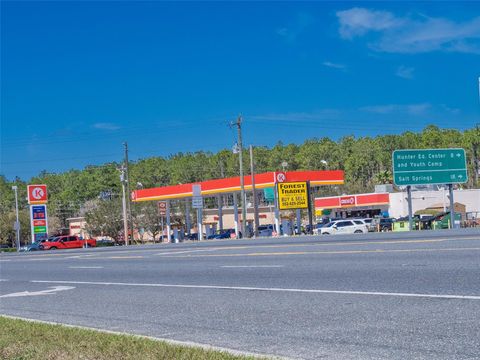 Tiny photo for 17482 SE 34th Lane, Ocklawaha, FL 32179 (MLS # O6285464)