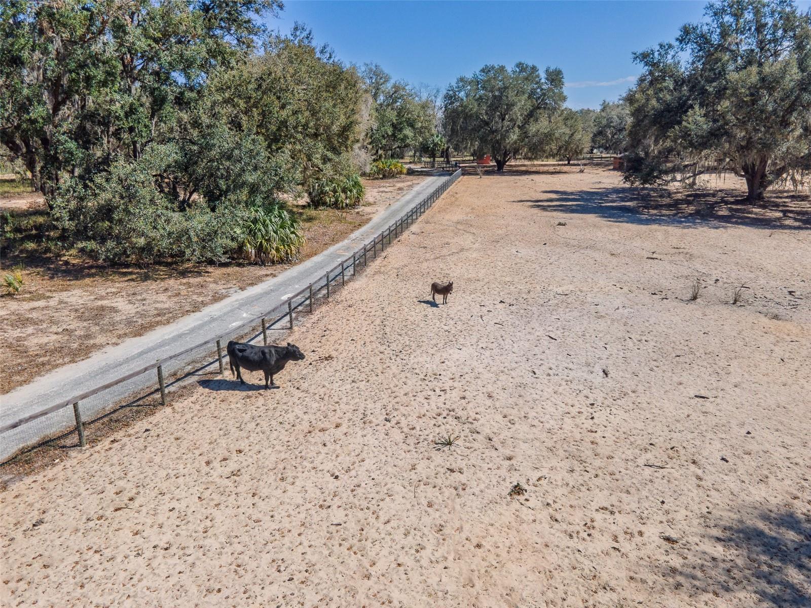 LAKE BRYANT SHORES - Residential