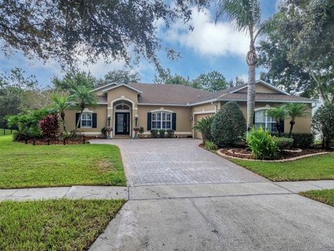 A home in MOUNT DORA