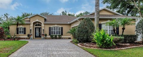 A home in MOUNT DORA