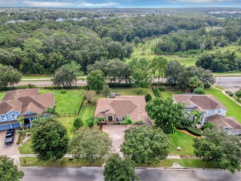 A home in MOUNT DORA