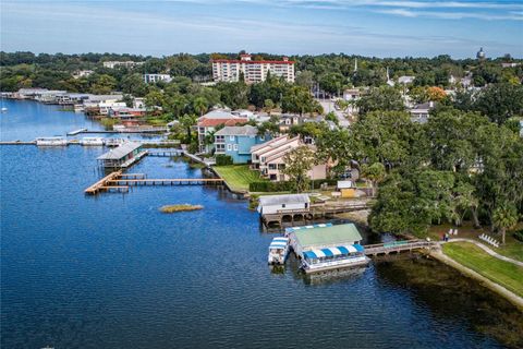 A home in MOUNT DORA